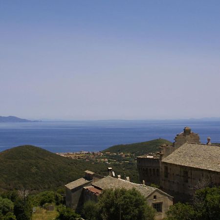 U Sant'Agnellu Hotell Rogliano Eksteriør bilde