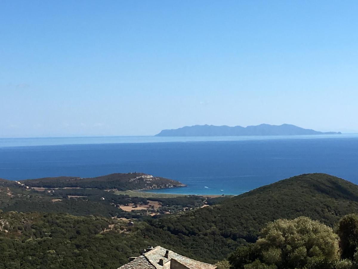 U Sant'Agnellu Hotell Rogliano Eksteriør bilde