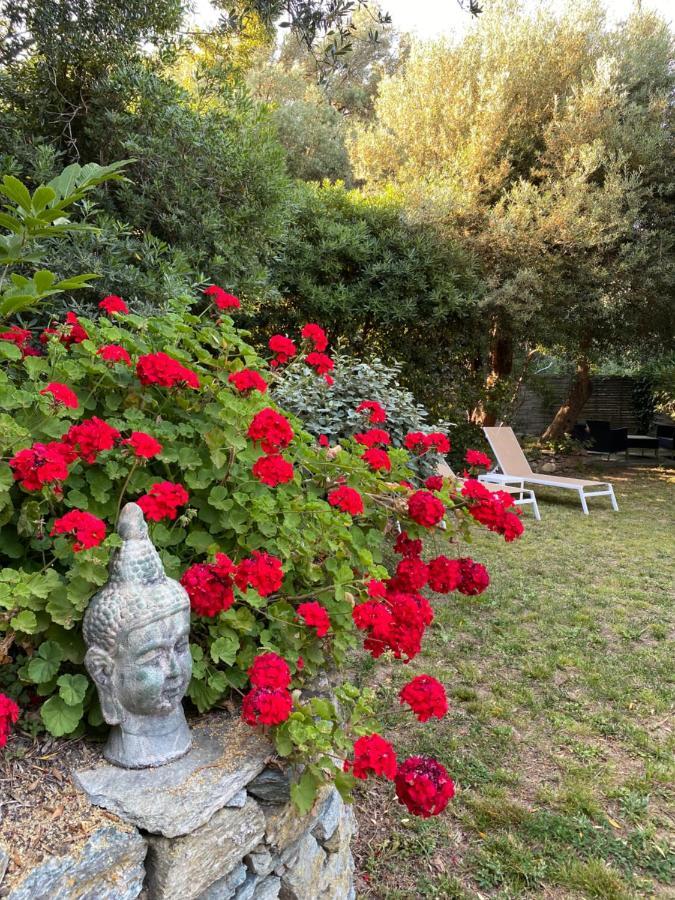 U Sant'Agnellu Hotell Rogliano Eksteriør bilde