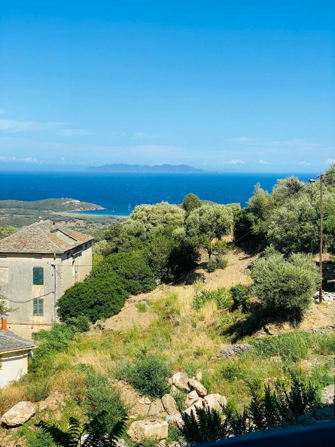 U Sant'Agnellu Hotell Rogliano Eksteriør bilde